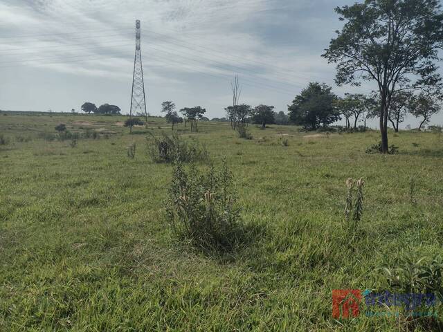 #239 - Sítio para Venda em Limeira - SP - 1